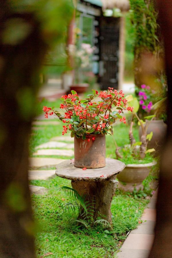 דירות Phong Nha Tuan Garden House מראה חיצוני תמונה