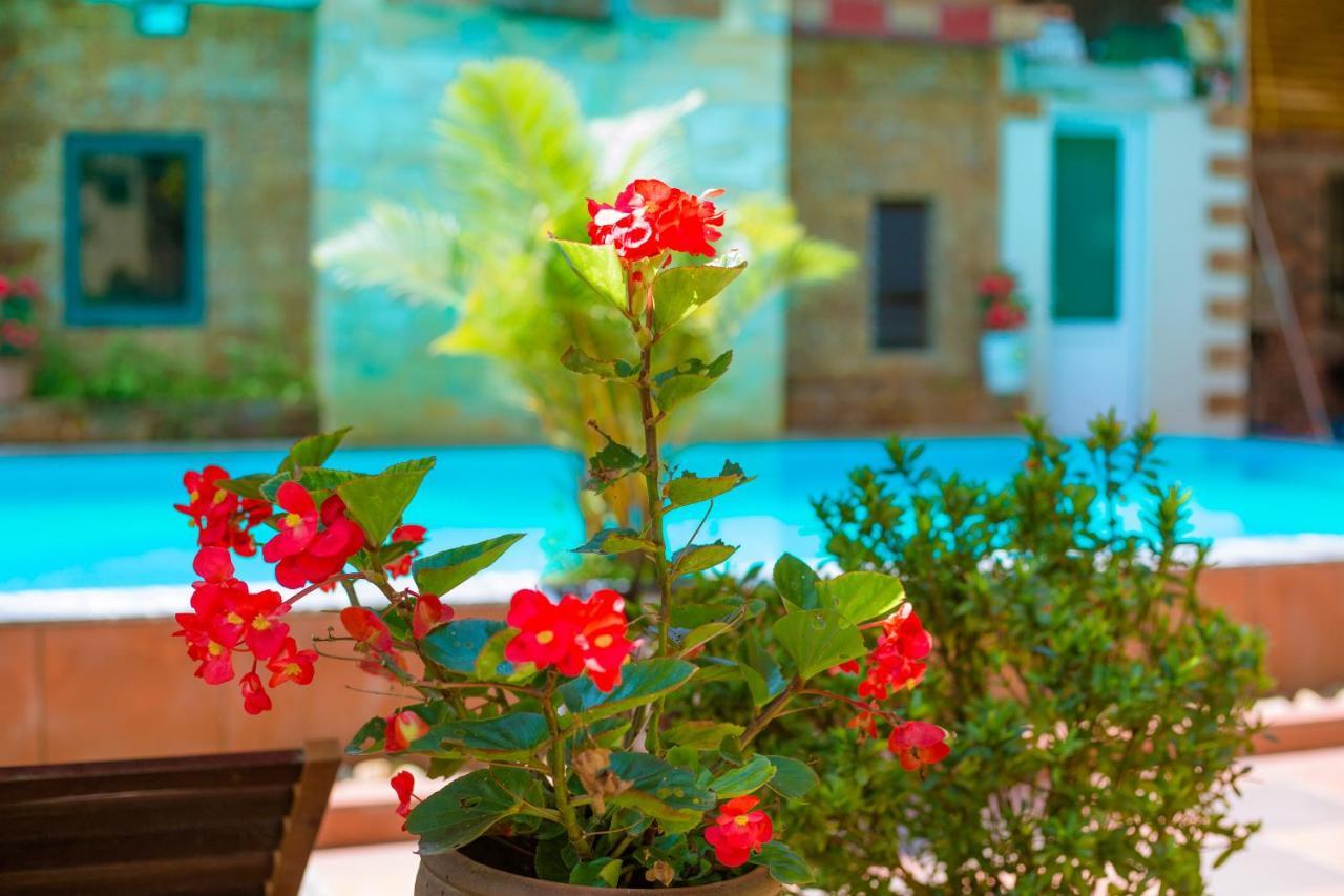 דירות Phong Nha Tuan Garden House מראה חיצוני תמונה