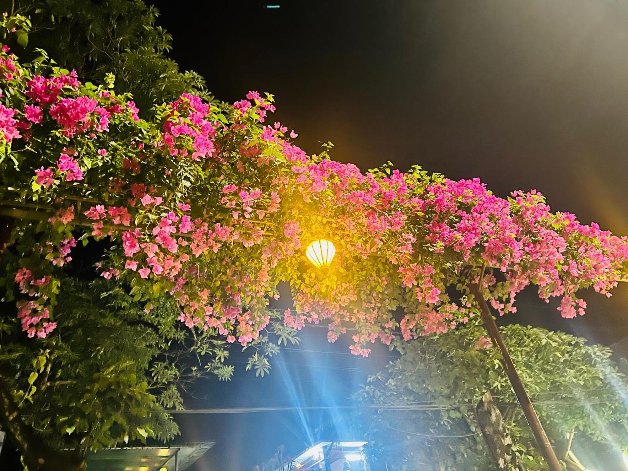 דירות Phong Nha Tuan Garden House מראה חיצוני תמונה