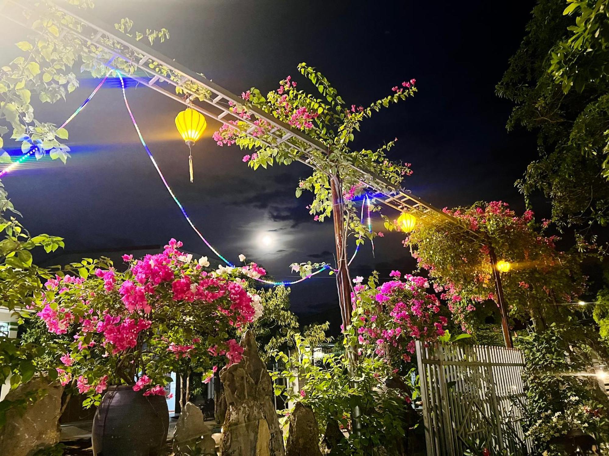 דירות Phong Nha Tuan Garden House מראה חיצוני תמונה